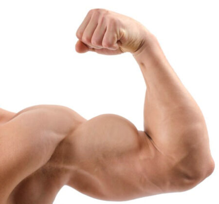 Trening biceps grupy mięśniowe